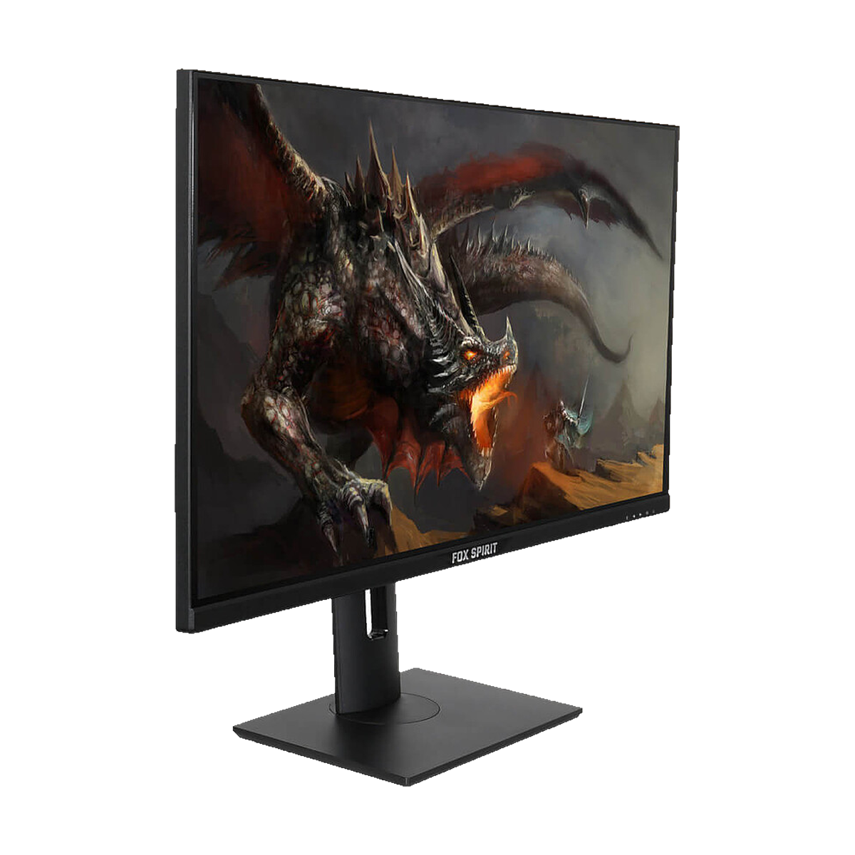 FOX SPIRIT PGK280 — vue détaillée